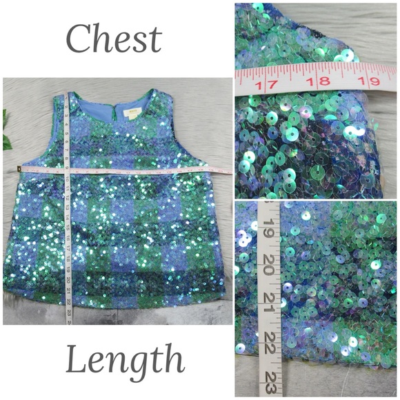 MAEVE by ANTHROPOLOGIE Amatheia Blue Sleeveless Sequin Top Women's Size 8 - Picture 11 of 14